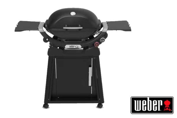 Q 2800N+ Gas Grill with Stand